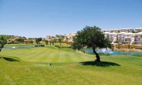 boavista golf
